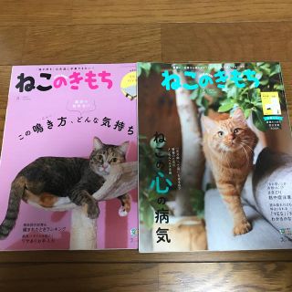 Benesse ねこのきもち　2019年3月号と5月号セット(専門誌)