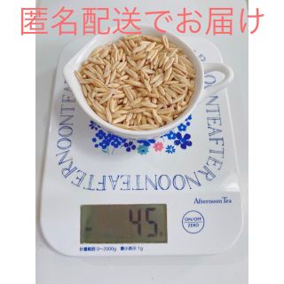 猫草 エン麦 45g(小動物)