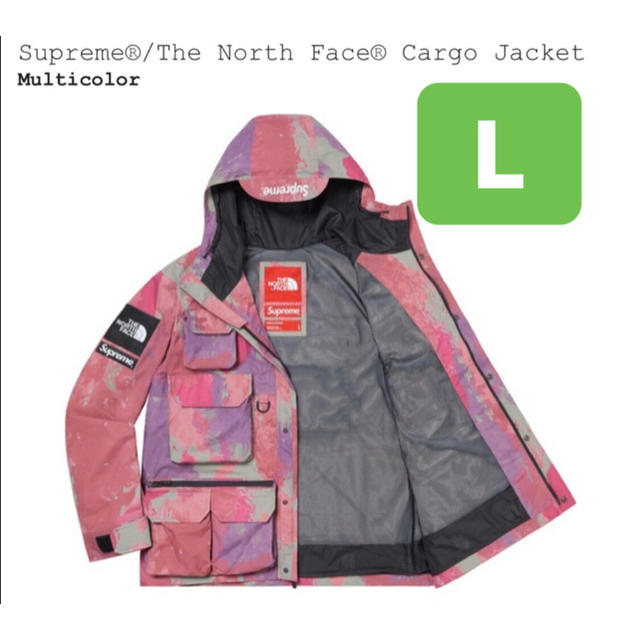 Supreme®/The North Face® Cargo Jacket