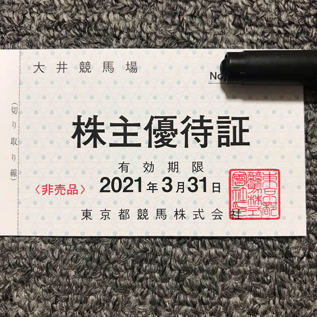 サマーランド、大井競馬場　株主優待券② チケットの施設利用券(遊園地/テーマパーク)の商品写真