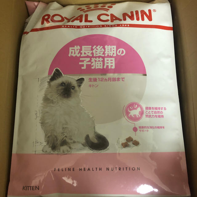 ロイヤルカナン  ROYAL CANIN キトン猫用 10kg