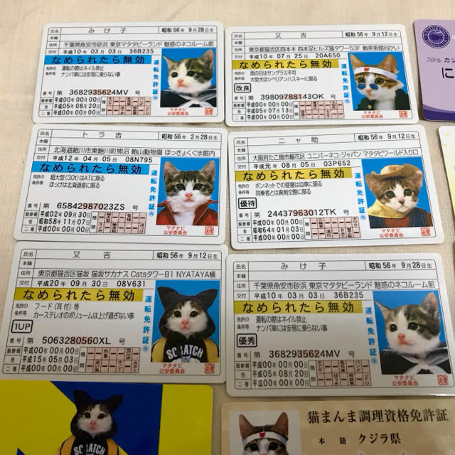 なめ猫 なめねこ 免許証 トレカ カード 39種 エンタメ/ホビーのアニメグッズ(カード)の商品写真