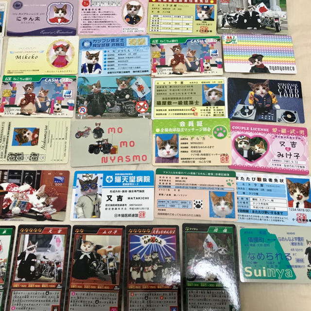 なめ猫 なめねこ 免許証 トレカ カード 39種 エンタメ/ホビーのアニメグッズ(カード)の商品写真