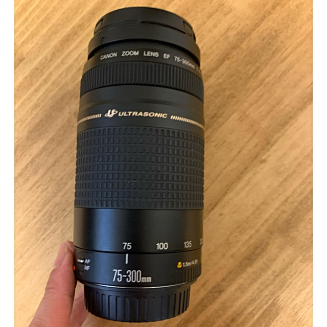 ☆即日発送!☆Canon EF 75-300mm f4-5.6 III USM ☆即日発送!☆Canon EF 75-300mm f4-5.6 III USM