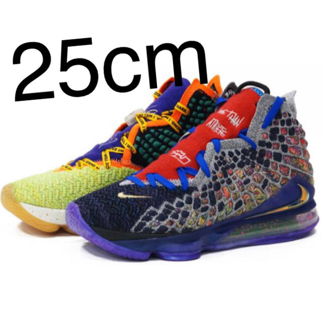 NIKE LEBRON XVII WTW レブロン 17 WHAT THEメンズ