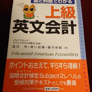 新品 図と例題でわかる上級英文会計(ビジネス/経済)