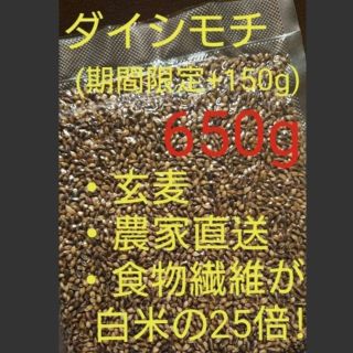 ダイシモチ 玄麦(米/穀物)