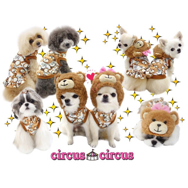 circus(サーカス)のcircus boys XSサイズ New Toy Bear Hoodie 犬服 その他のペット用品(犬)の商品写真