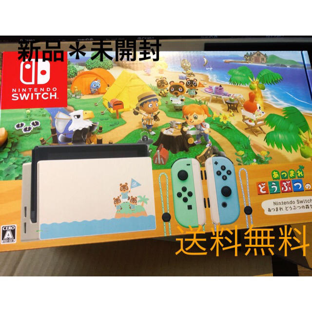 Nintendo Switch - ✳︎Nintendo Switch どうぶつの森セット