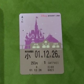 ディズニー(Disney)の使用済リゾートラインパス(その他)