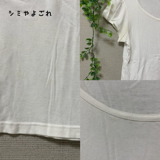 iiMK(アイアイエムケー)の白Tシャツ レディースのトップス(Tシャツ(半袖/袖なし))の商品写真