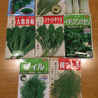 野菜の種 6種類 家庭菜園(野菜)