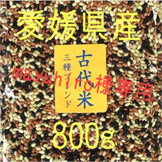 mayuhiro様専用　古代米3種ブレンド愛媛県産　800ｇ(米/穀物)