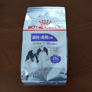 ロイヤルカナン(ROYAL CANIN)のロイヤルカナン　エクストラ　スモール　ステアライズド　ドッグフード　犬　(ペットフード)