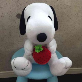 スヌーピー(SNOOPY)のlast sale！(ぬいぐるみ)