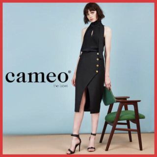 ユナイテッドアローズ(UNITED ARROWS)のcameo カメオスカート新品(ひざ丈スカート)