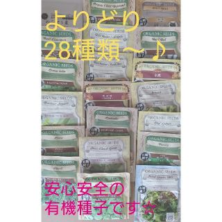 野菜の種 ハーブの種 28種類～選べる 有機種子 種子 種(野菜)