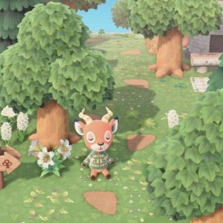 専用ページ(ゲーム)