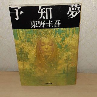 予知夢(文学/小説)