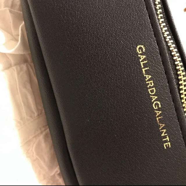 GALLARDA GALANTE(ガリャルダガランテ)のGINGER 付録⭐︎エコレザーマルチポーチ　美品 レディースのファッション小物(ポーチ)の商品写真