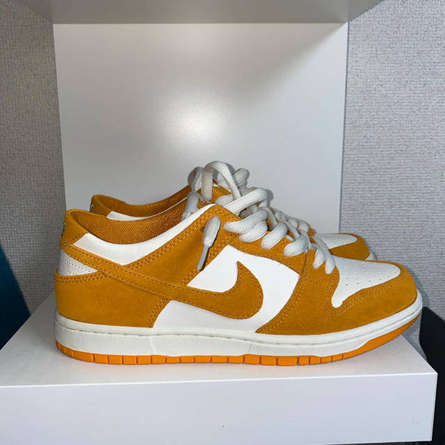 nike dunk circuit orange