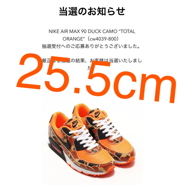 NIKE(ナイキ)のNIKE  エアマックス90 オレンジ　カモ メンズの靴/シューズ(スニーカー)の商品写真