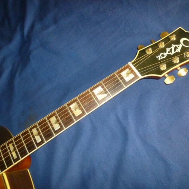 yamaki製 Canyon w-60 Guild D55モデル 楽器のギター(アコースティックギター)の商品写真