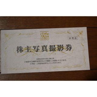 スタジオアリス株主優待写真撮影券　２０20年１２月３１日まで(その他)