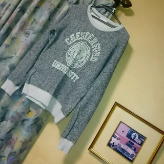 ウィゴー(WEGO)のWEGO BROWNY 灰色セーター(Tシャツ/カットソー(七分/長袖))