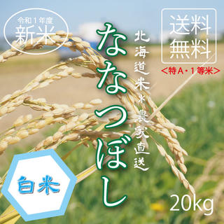 1等米！ななつぼし　白米20kg お米　米　ブランド米　農家直送　精米価格(米/穀物)