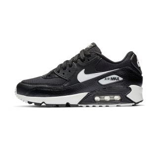 ナイキ(NIKE)のナイキ エア マックス 90 NIKE AIR MAX 90 25㎝　ナイキ(スニーカー)