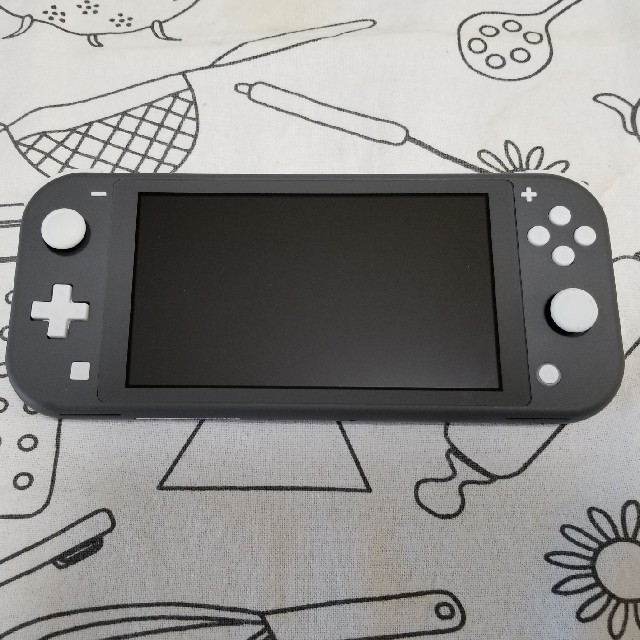 Nintendo Switch Lite Gray 1