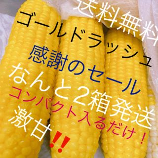 激うまゴールドラッシュコンパクト入るだけなんと2箱発送激安破格(野菜)