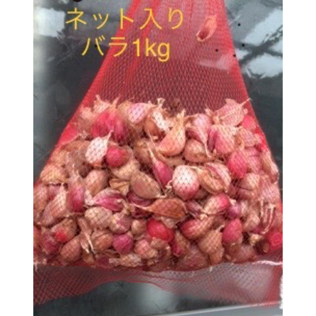 にんにく1kg 佐賀県産　ネット入りバラ 食品/飲料/酒の食品(野菜)の商品写真