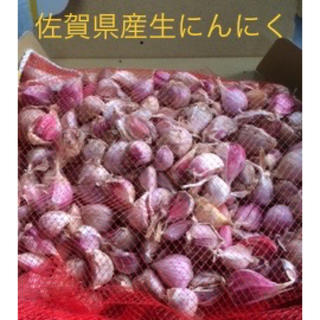 にんにく1kg 佐賀県産　ネット入りバラ(野菜)