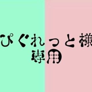 ぴぐれっと様専用(CDブック)