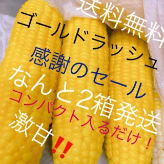 激うまゴールドラッシュコンパクト入るだけなんと2箱発送激安破格(野菜)