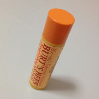 バーツビーズ(BURT'S BEES)のリップクリーム(その他)