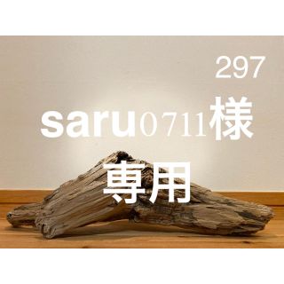 流木【297.276.597】(置物)