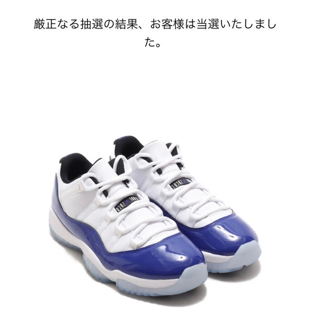 AIR JORDAN 11 ホワイト　28cm