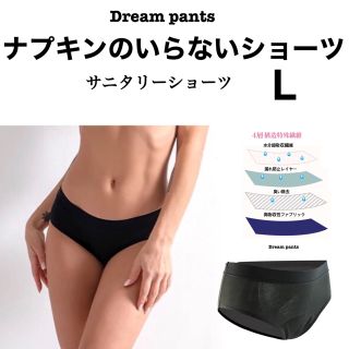 ナプキン　タンポンのいらない　生理用ショーツ　Lサイズ　レディースショーツ(ショーツ)