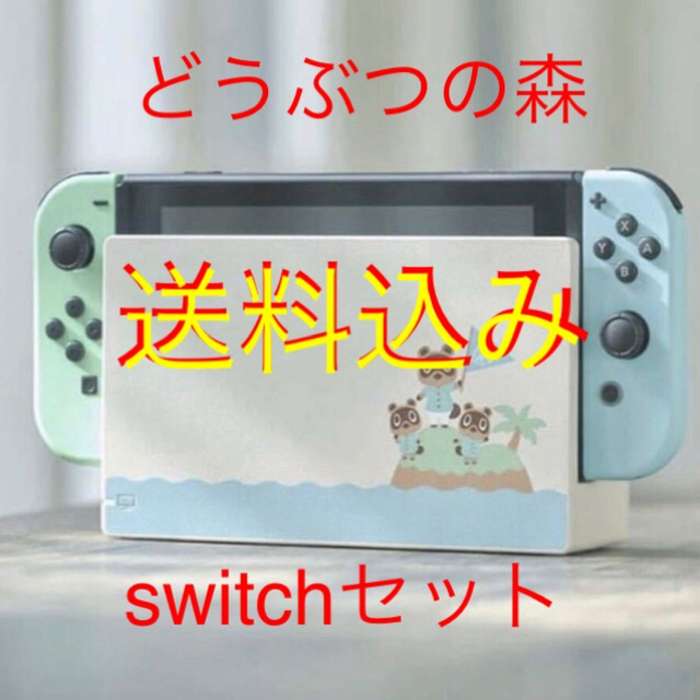 みなみさま　nintendo switch どうぶつの森 ドック  ジョイコン