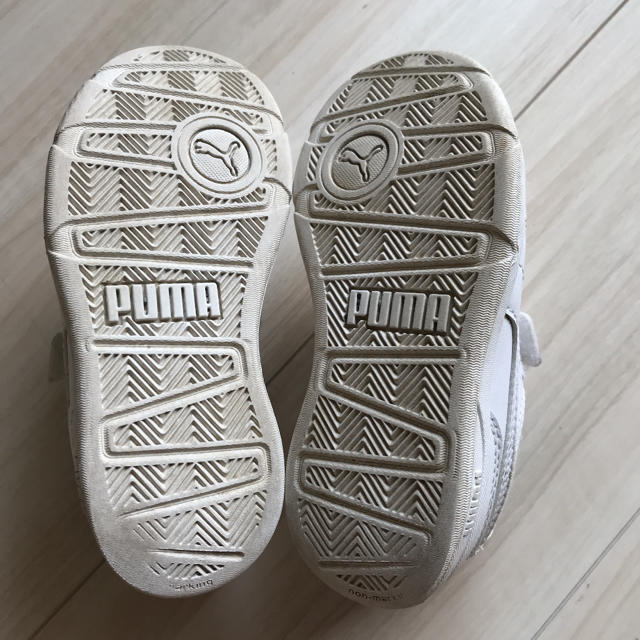 PUMA(プーマ)のプーマスニーカー 18センチ キッズ/ベビー/マタニティのキッズ靴/シューズ(15cm~)(スニーカー)の商品写真