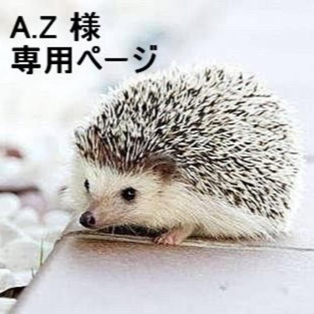 「A.Z ページ」