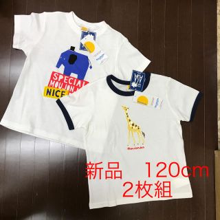 ムージョンジョン(mou jon jon)の新品　ムージョンジョン  白地　綿Tシャツ　2枚組　120cm (Tシャツ/カットソー)