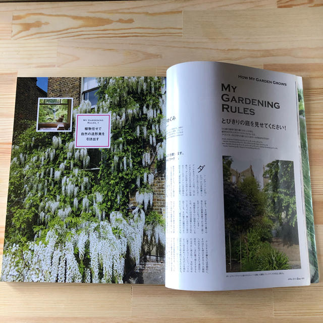 Casa BRUTUS 植物と暮らす 完全マニュアル エンタメ/ホビーの雑誌(専門誌)の商品写真