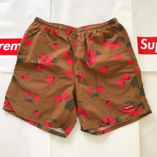 シュプリーム(Supreme)のnylon water short(水着)