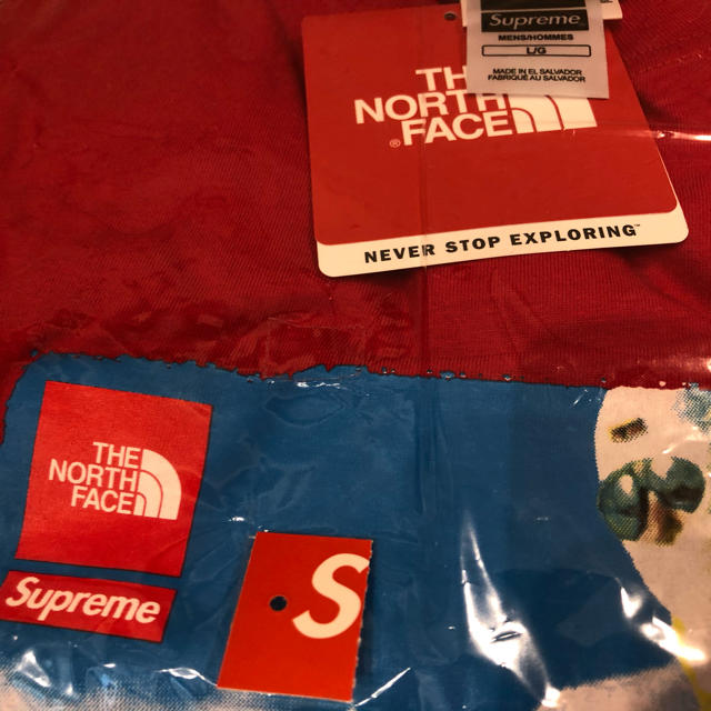 Supreme The North Face  Photo Tee RED L 2