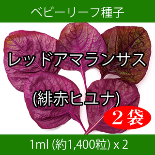 ベビーリーフ種子 B-38 レッドアマランサス(緋赤ヒユナ) 1ml x 2袋(野菜)