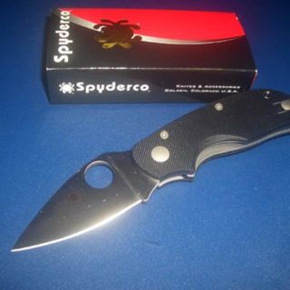 一本限定　スパイダルコ　SPYDERCO　CAT キャット　ナイフ(登山用品)